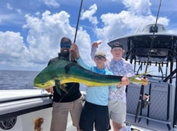 Mahi Mahi / Dorado fishing in Key Largo, Florida