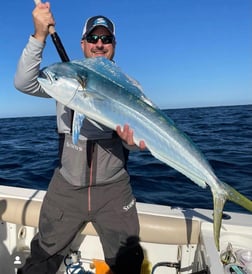 Mahi Mahi Fishing in San Diego, California