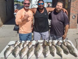 Hybrid Striped Bass, Striped Bass fishing in Runaway Bay, Texas