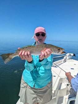 Speckled Trout Fishing in Islamorada, Florida