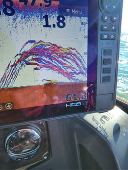 Walleye Fishing in Sheffield Lake, Ohio