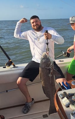 Blacktip Shark Fishing in Galveston, Texas