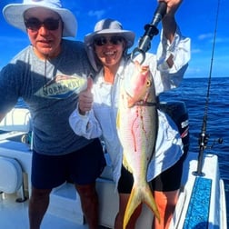 Yellowtail Snapper Fishing in Tavernier, Florida