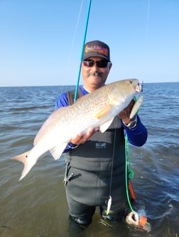 Speckled Trout / Spotted Seatrout Fishing in Rio Hondo, Texas