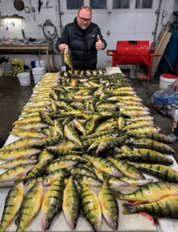 Fishing in Lake St Clair