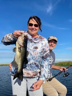 Largemouth Bass Fishing in Lake Okeechobee, Florida