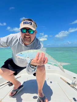 Tarpon Fishing in Islamorada, Florida