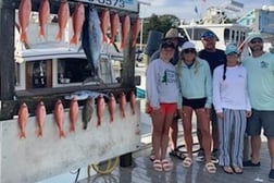 Mahi Mahi / Dorado, Red Grouper Fishing in Destin, Florida