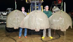 Ray Fishing in Ocean Pines, Maryland