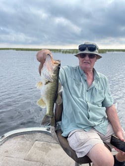 Largemouth Bass Fishing in Lake Okeechobee, Florida