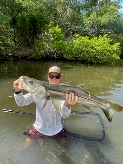 Fishing in Tampa, Florida