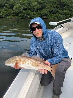 Redfish Fishing in Tarpon Springs, Florida