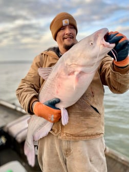 Blue Catfish Fishing in Dallas, Texas