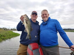 Largemouth Bass Fishing in Kissimmee, Florida