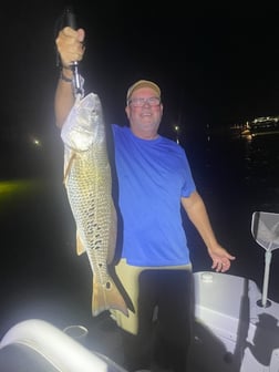 Fishing in Orange Beach, Alabama