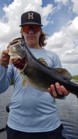 Peacock Bass fishing in Fort Lauderdale, Florida