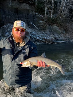 Steelhead Fishing in Tacoma, Washington