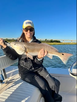 Redfish Fishing in Mount Pleasant, South Carolina