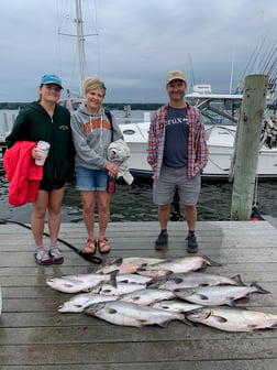 Chinook Salmon Fishing in Whitehall, Michigan