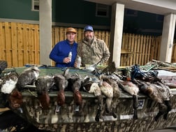 Bluebill, Northern Pintail, Northern Shoveler, Redhead Hunting in South Padre Island, Texas