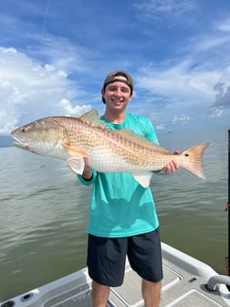 Jack Crevalle fishing in Venice, Louisiana