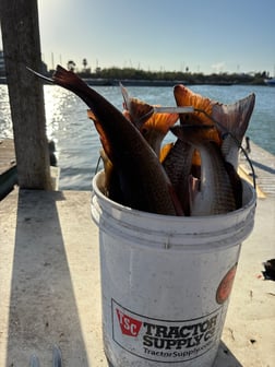 Fishing in Port Aransas, Texas