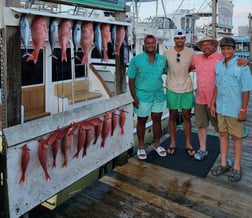 False Albacore, Red Snapper Fishing in Destin, Florida