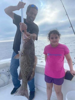 Gag Grouper Fishing in Clearwater, Florida