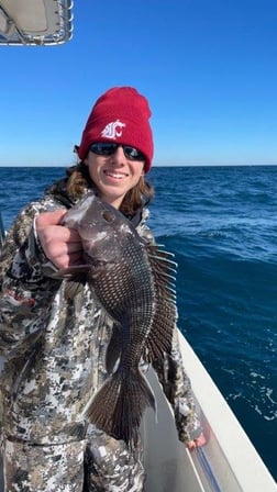 Black Seabass Fishing in Charleston, South Carolina