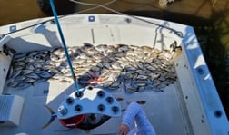 Fishing in Beaufort, North Carolina