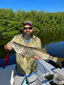 Snook Fishing in Tampa, Florida