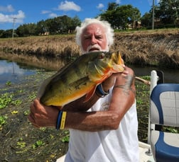 Largemouth Bass Fishing in Okeechobee, Florida, USA