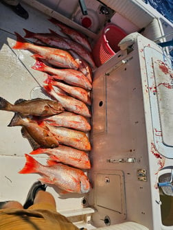 Fishing in Clearwater, Florida