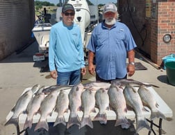 Hybrid Striped Bass Fishing in Runaway Bay, Texas