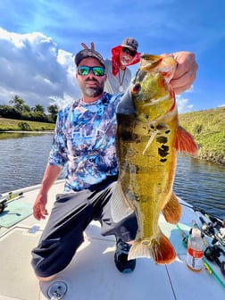 Peacock Bass Fishing in Wellington, Florida