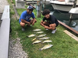 Largemouth Bass, Peacock Bass fishing in Port Sanilac, Michigan