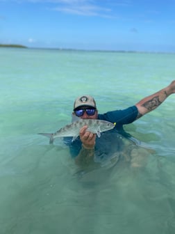 Tarpon Fishing in Islamorada, Florida