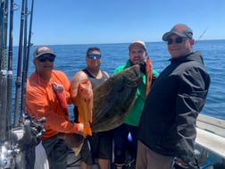 Rockfish Fishing in Oxnard, California