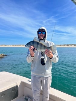 Redfish Fishing in Beaufort, North Carolina