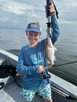 Mangrove Snapper, Speckled Trout Fishing in Crystal River, Florida