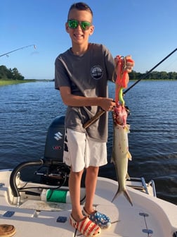 Speckled Trout / Spotted Seatrout fishing in Wrightsville Beach, North Carolina