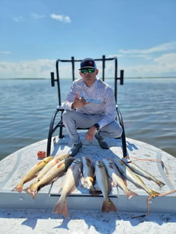 Redfish, Speckled Trout Fishing in South Padre Island, Texas