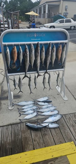 Fishing in Santa Rosa Beach, Florida