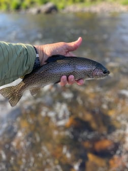 Fishing in Hume, California