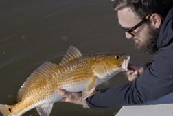 Redfish Fishing in New Smyrna Beach, Florida