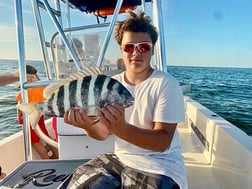 Little Tunny / False Albacore Fishing in Sarasota, Florida