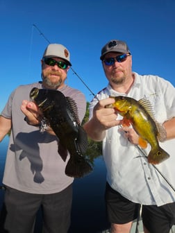 Fishing in Fort Lauderdale, Florida