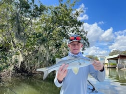 Speckled Trout / Spotted Seatrout Fishing in Oak Hill, Florida