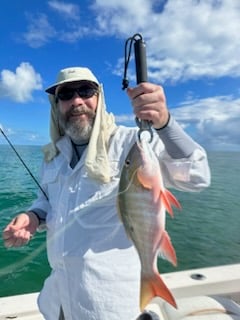 Mangrove Snapper Fishing in Homestead, Florida