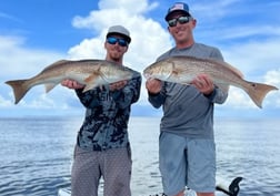 Redfish fishing in Fort Myers, Florida